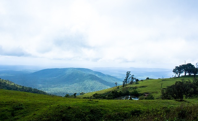 被解雇的两 被解雇的两
