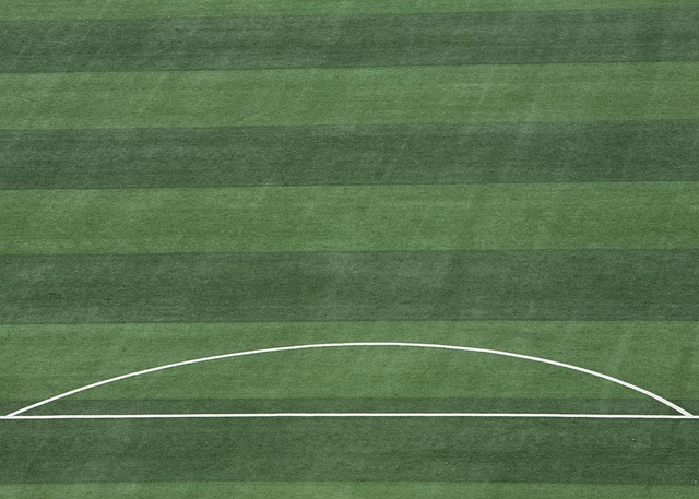 年的皇马 年的皇马