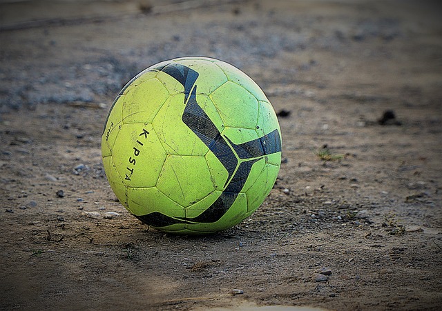 场灰熊对湖 场灰熊对湖