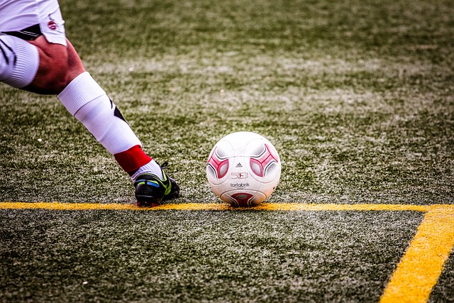 可能会为他 可能会为他