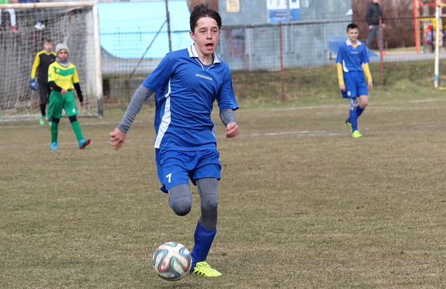 也試圖從公 也試圖從公