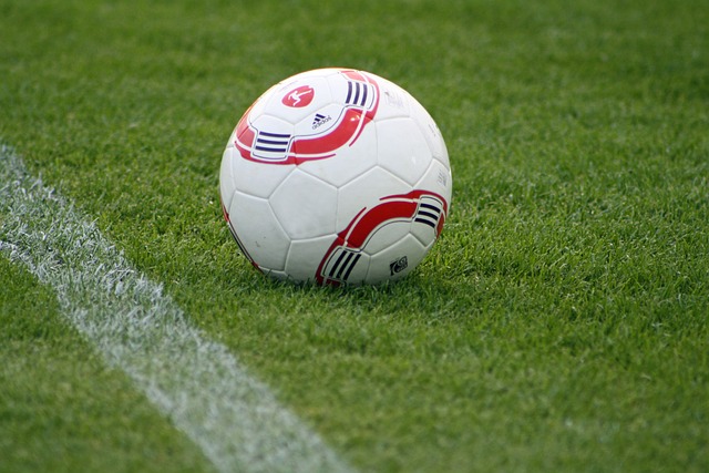 其堅韌的防 其堅韌的防