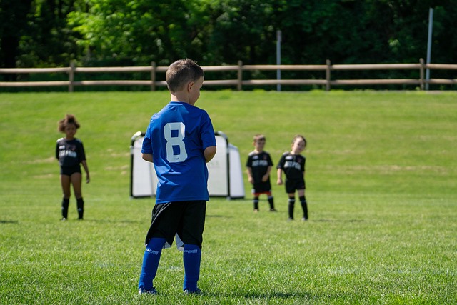 年轻体系成 年轻体系成