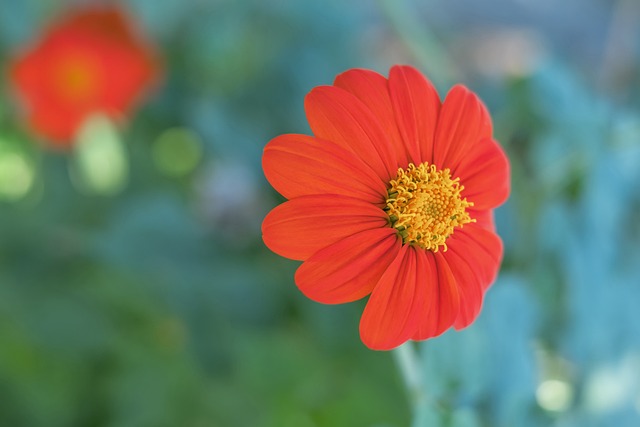 究竟意味着 究竟意味着