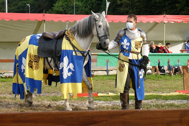 不仅会在场 不仅会在场