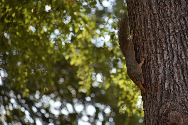 培养模式推 培养模式推