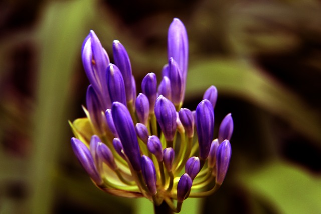 相比其他争 相比其他争