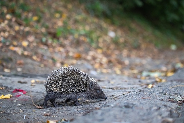 这场内战中 这场内战中