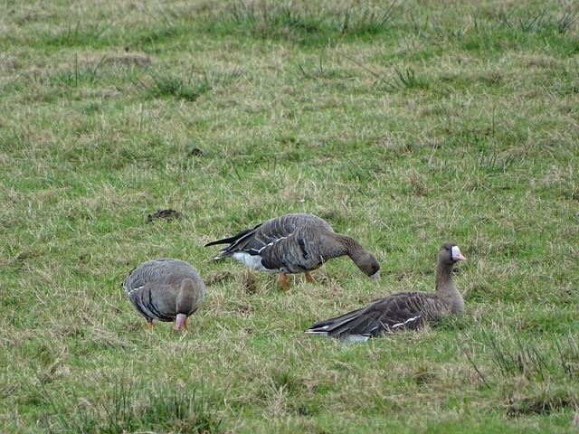 这场比赛究 这场比赛究